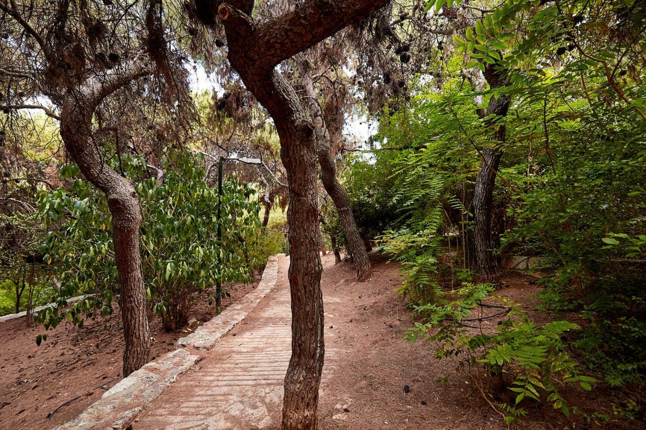 Myth2 - Hike Around Ancient Panathenaic Stadium Near Metro With View Of Big Park Apartment Exterior photo
