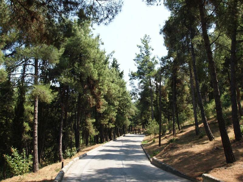 Myth2 - Hike Around Ancient Panathenaic Stadium Near Metro With View Of Big Park Apartment Exterior photo